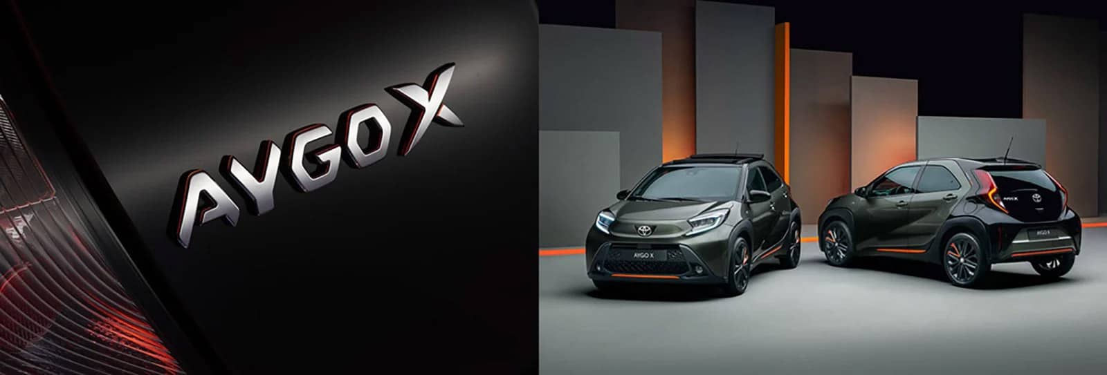 schiefelbein-aygo-x