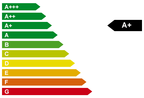 schiefelbein_chr